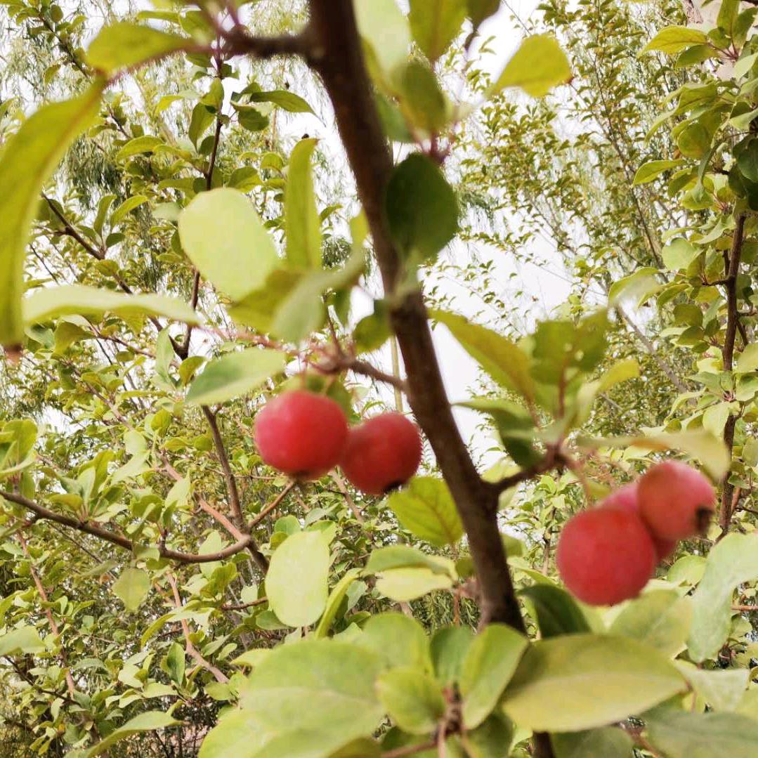 开心过好每一天
