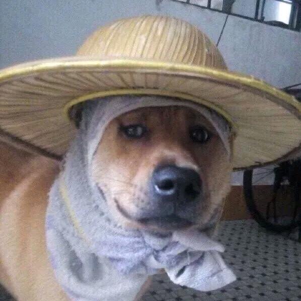 迷失的老八