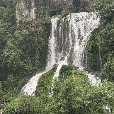 半俗先生༼植意༆制境༽