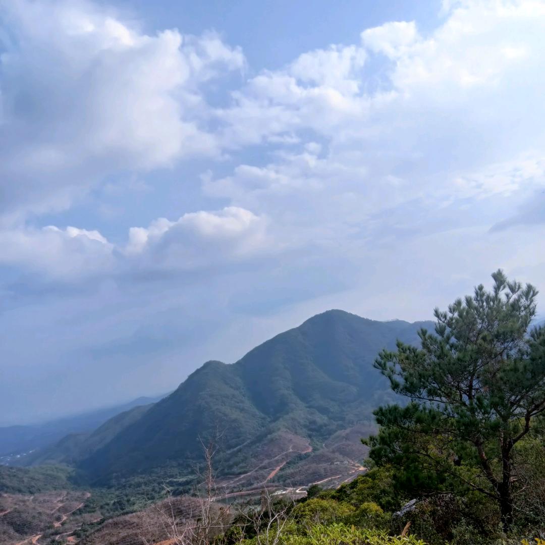 向阳