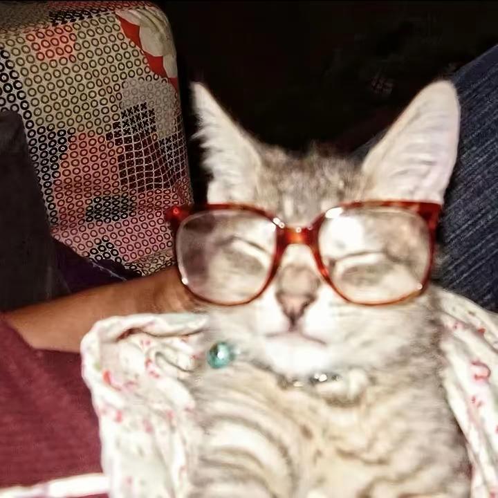 懒的起名字死了