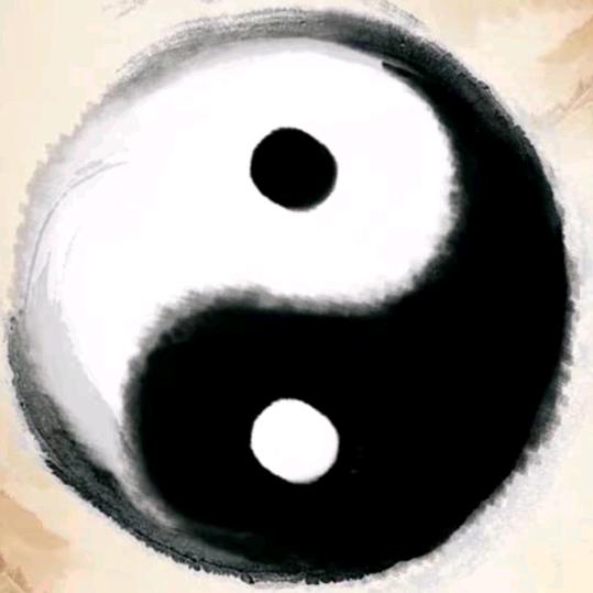 悟道❤️