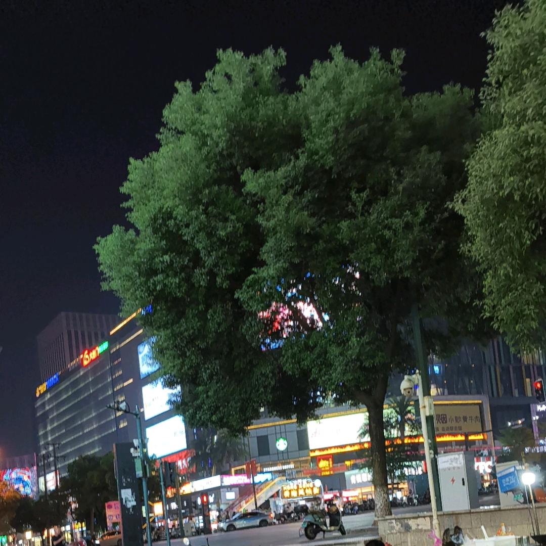 颜颜