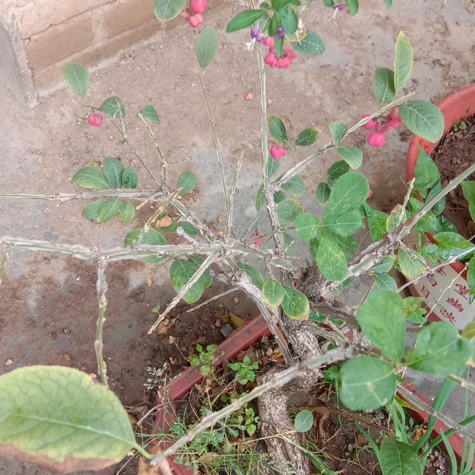 深秋无痕