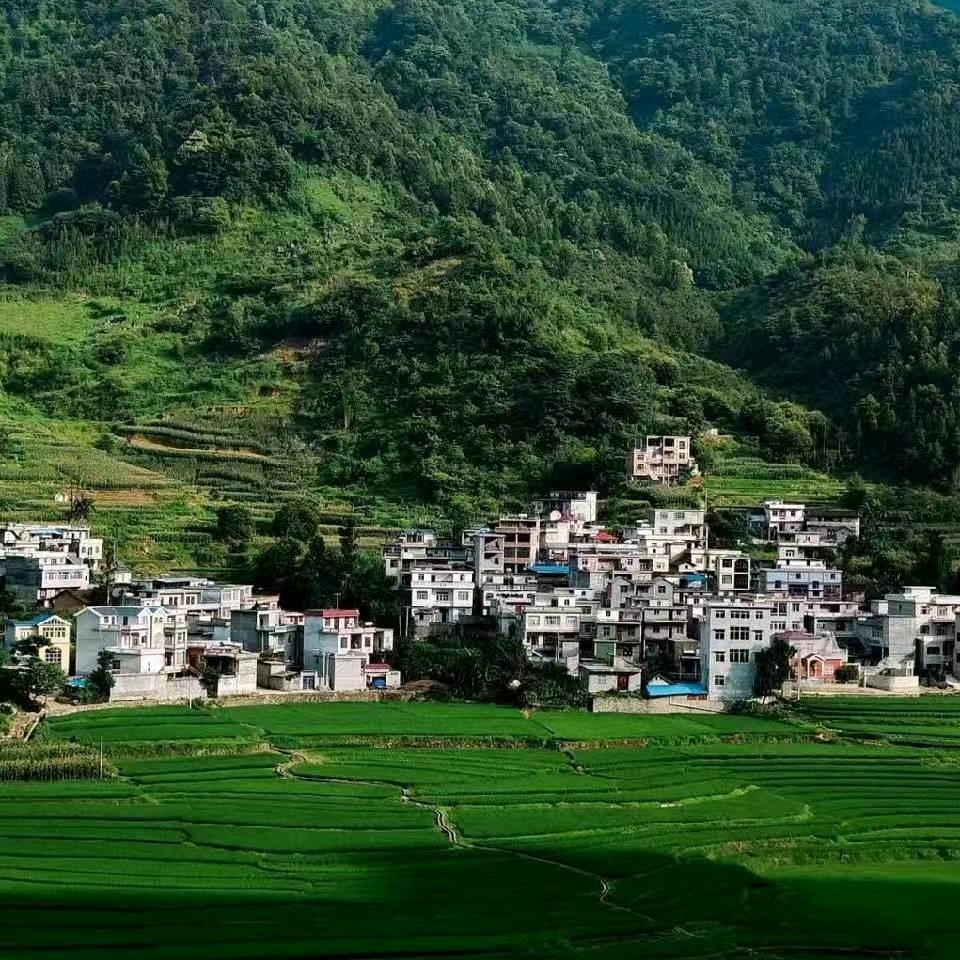 阳光总是缘分相遇地方