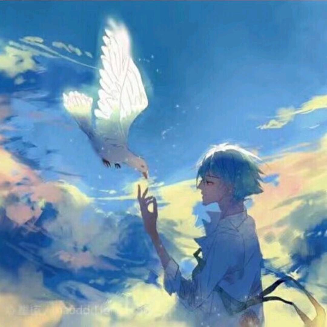 晨羽