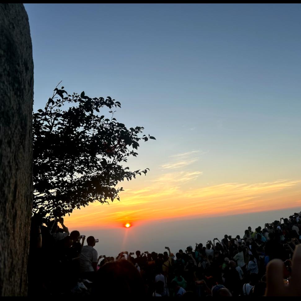 书婳（河北沧州）