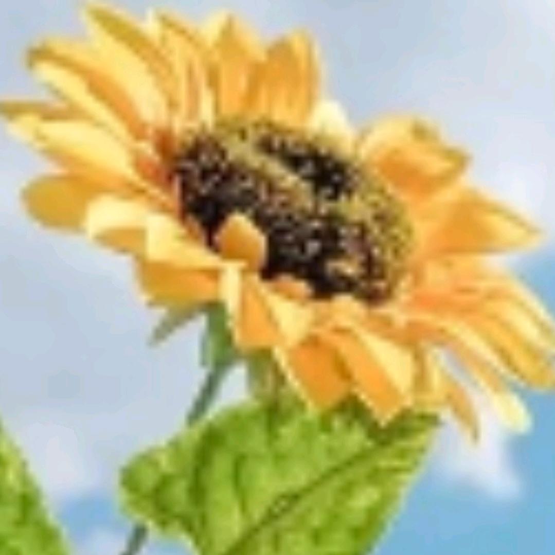 余生平安过好每一天🐲