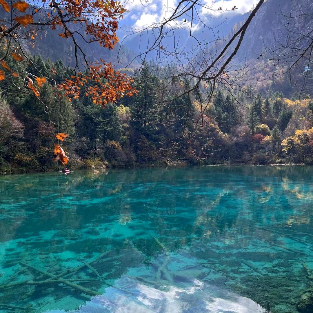春风音乐