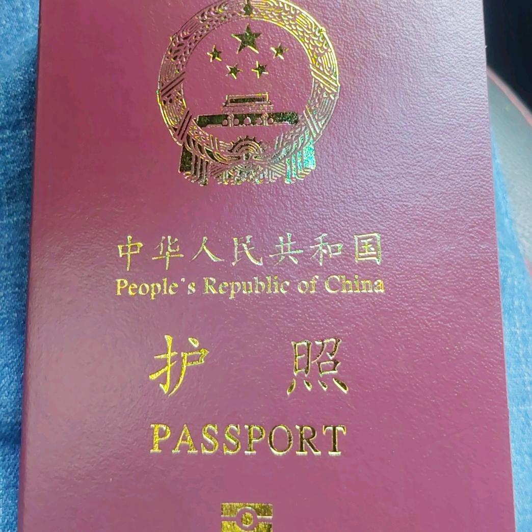 龙头大坂农场养鸡的