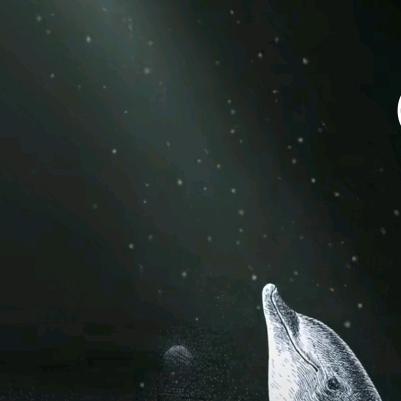 一个人听寂寞的歌