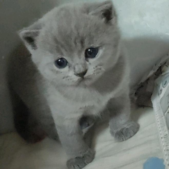 赵十一🐱