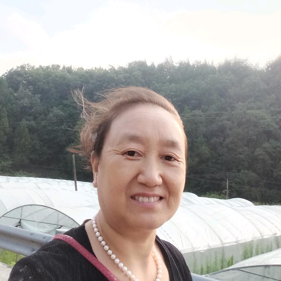 清清姐
