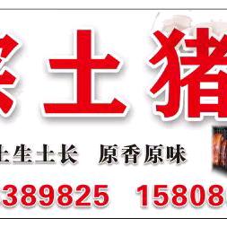 卖土猪的忠县小妹