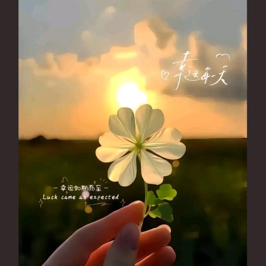 一点也不俊