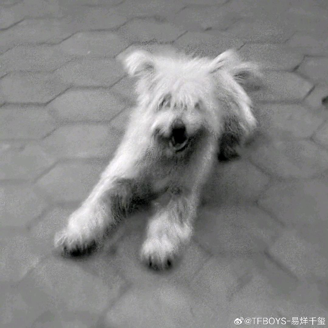 七玺丸子