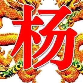 四哥流浪