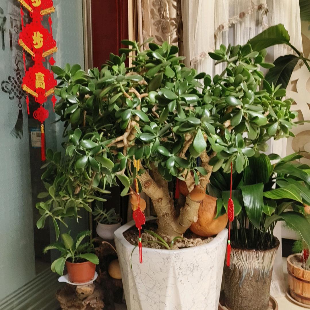 山中十年