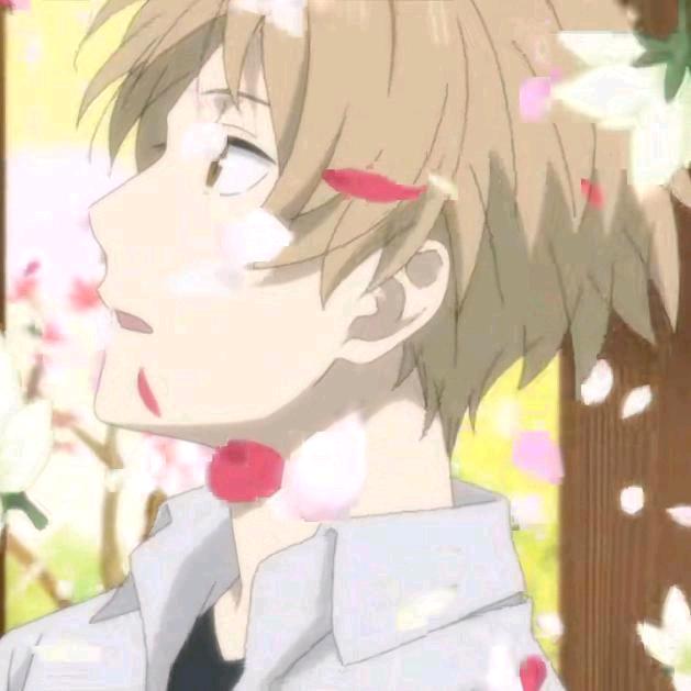 最爱rmb（赞美愚者）