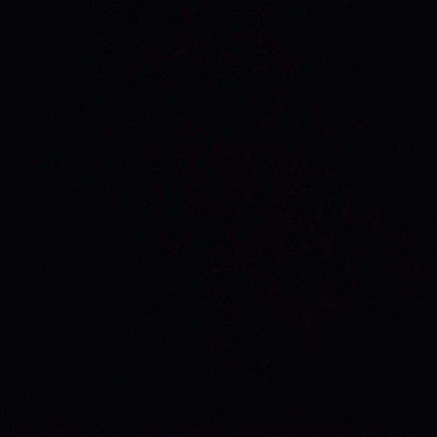 不吃香菜的香菜