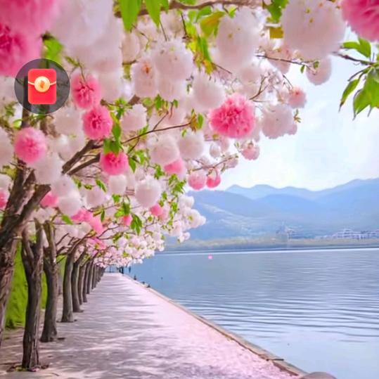 人生只有结果，没有如果
