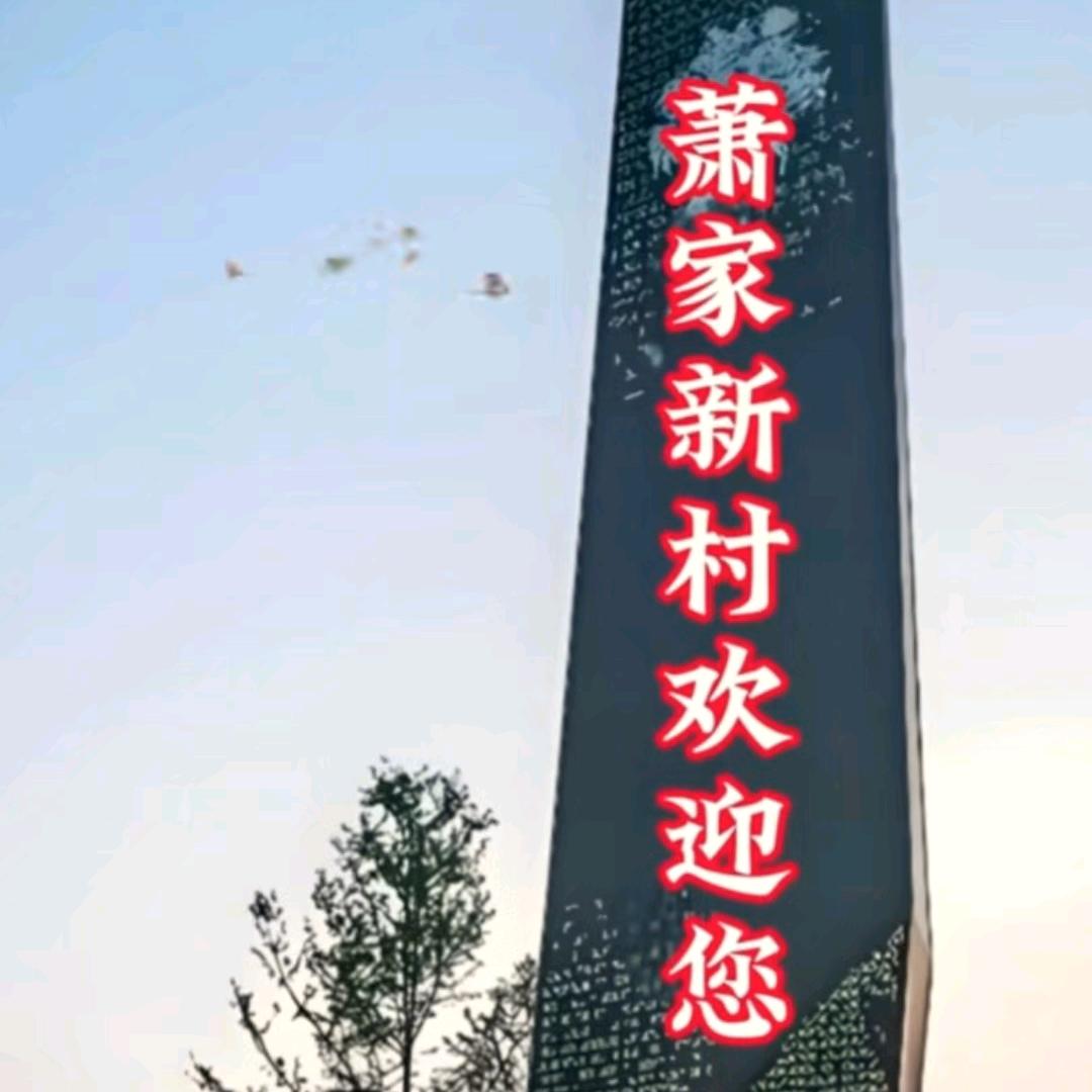 <肖哥>