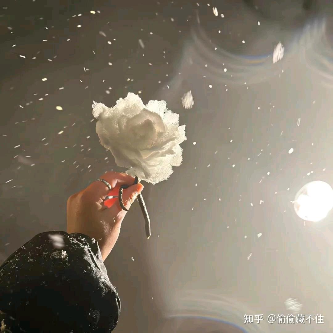 🦟也是肉