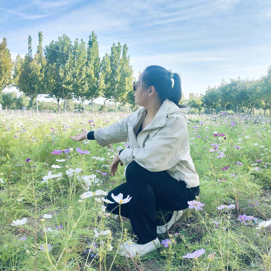 阳阳在衡水