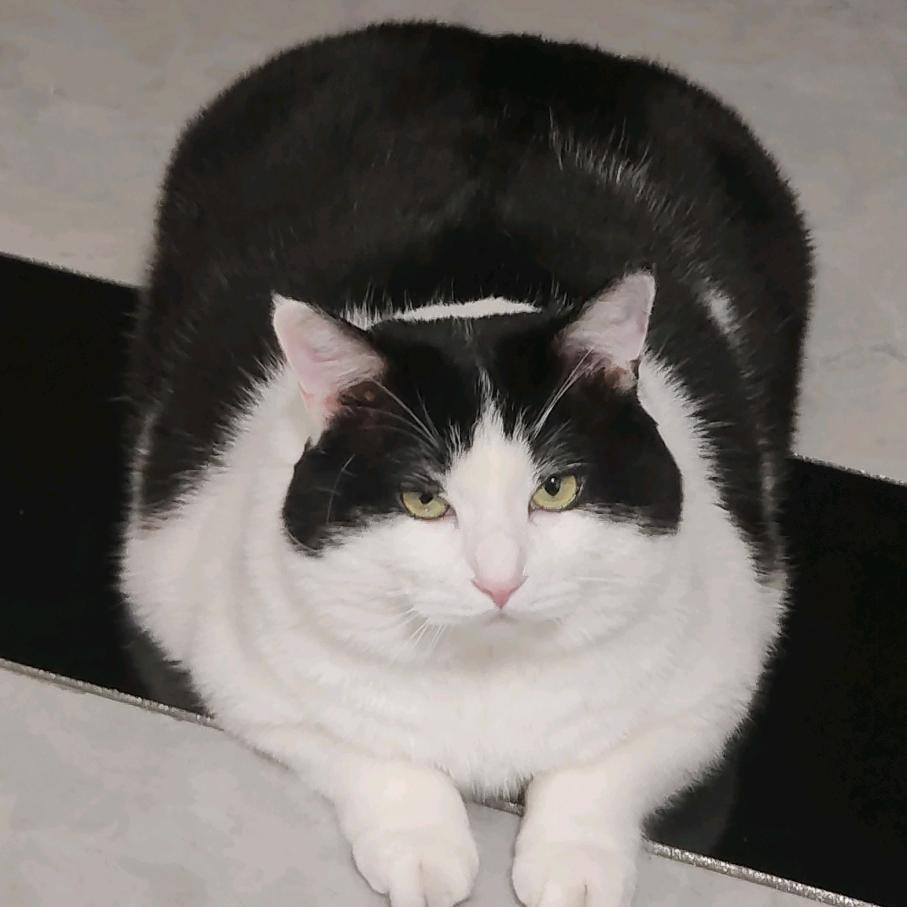 益生君 ୧꒰•̀ᴗ•́꒱୨