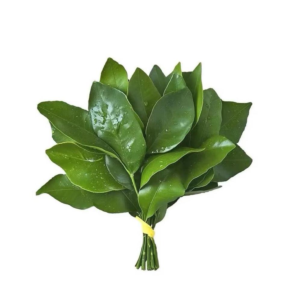 晴晴睡不醒.