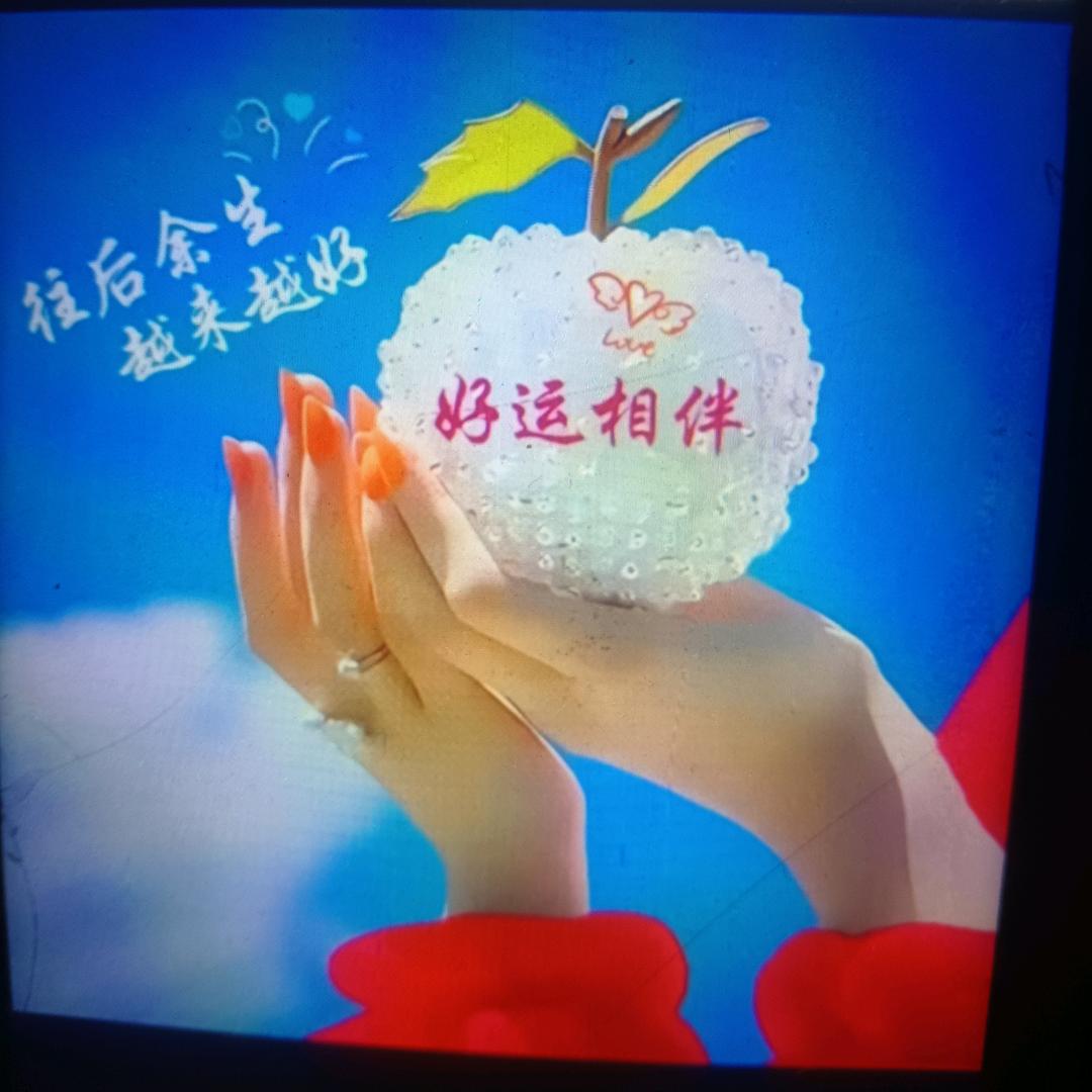 扬帆起航