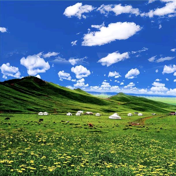 把根刘住