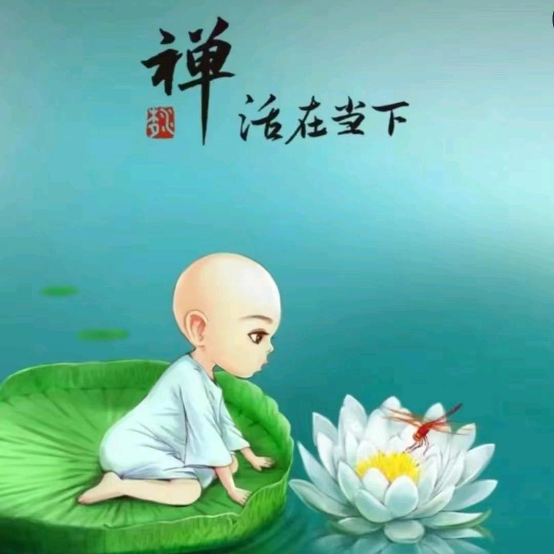 芳姐说媒（全国牵线）