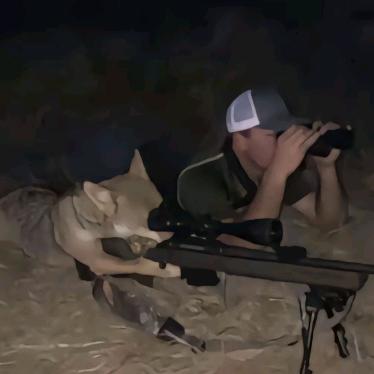 杨总和张老师的粉丝小王