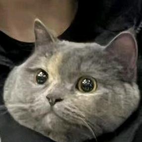 笑√生活。
