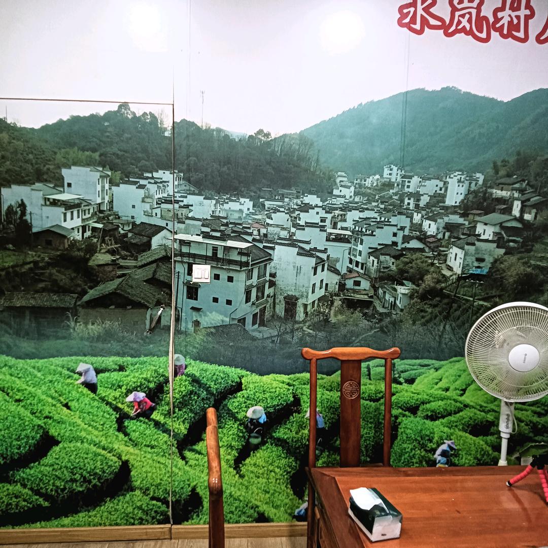 大鄣山乡水岚人家茶叶店