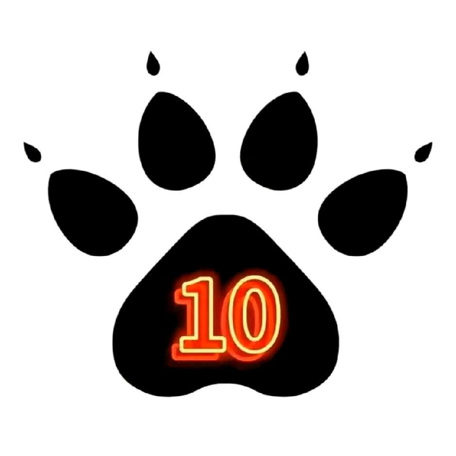 明天见☞10