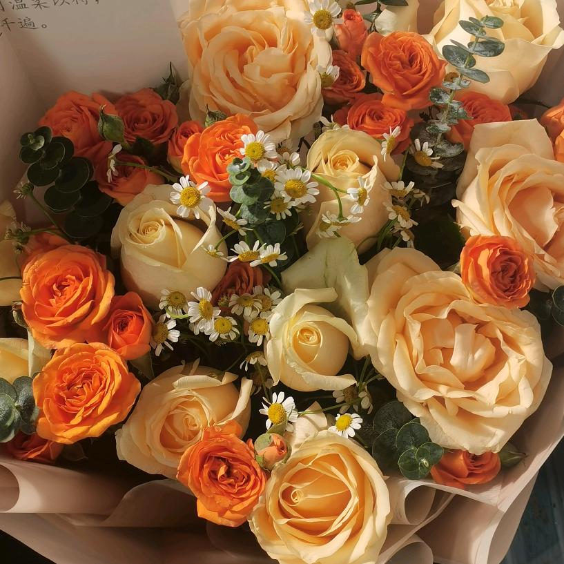 花开无忧