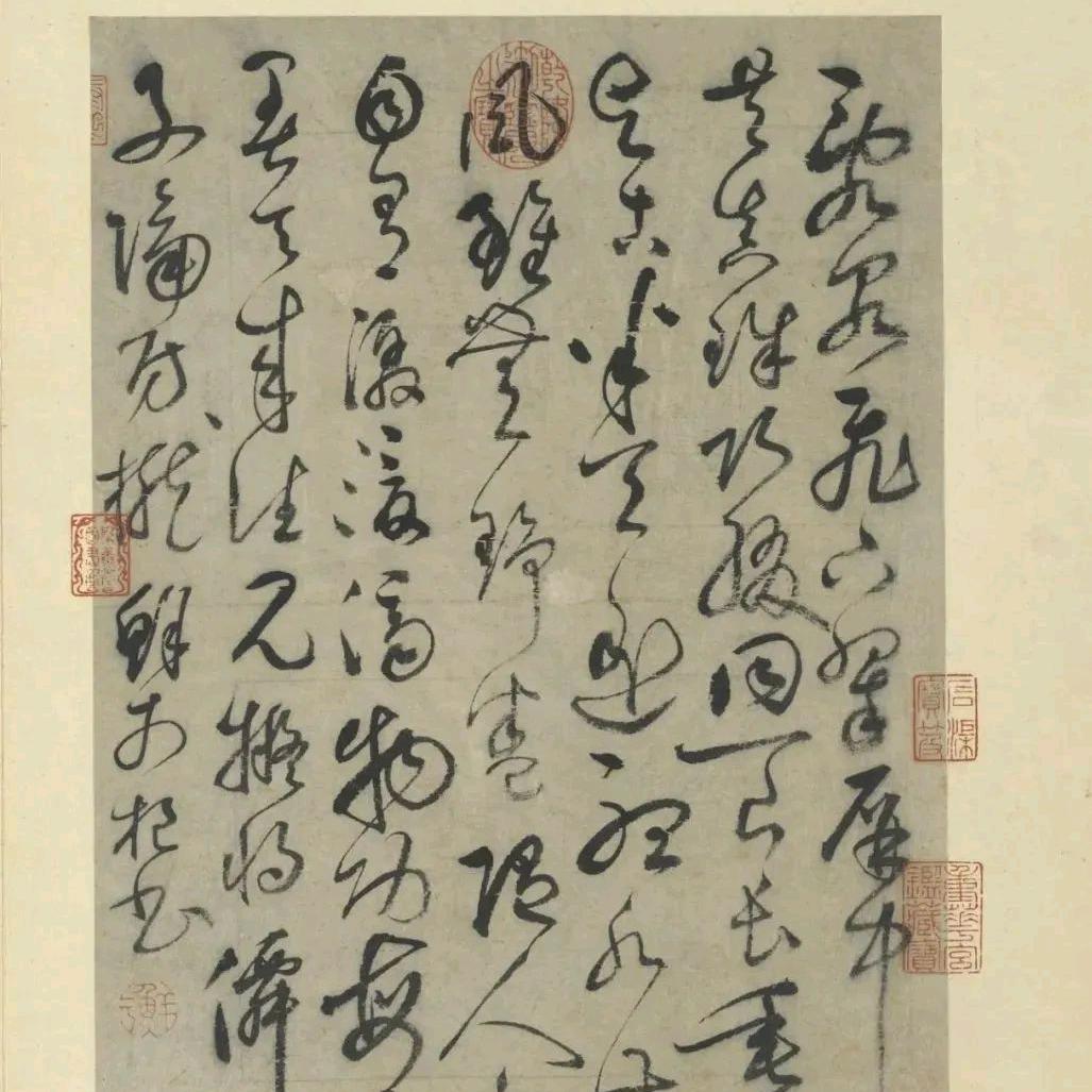 中医书者