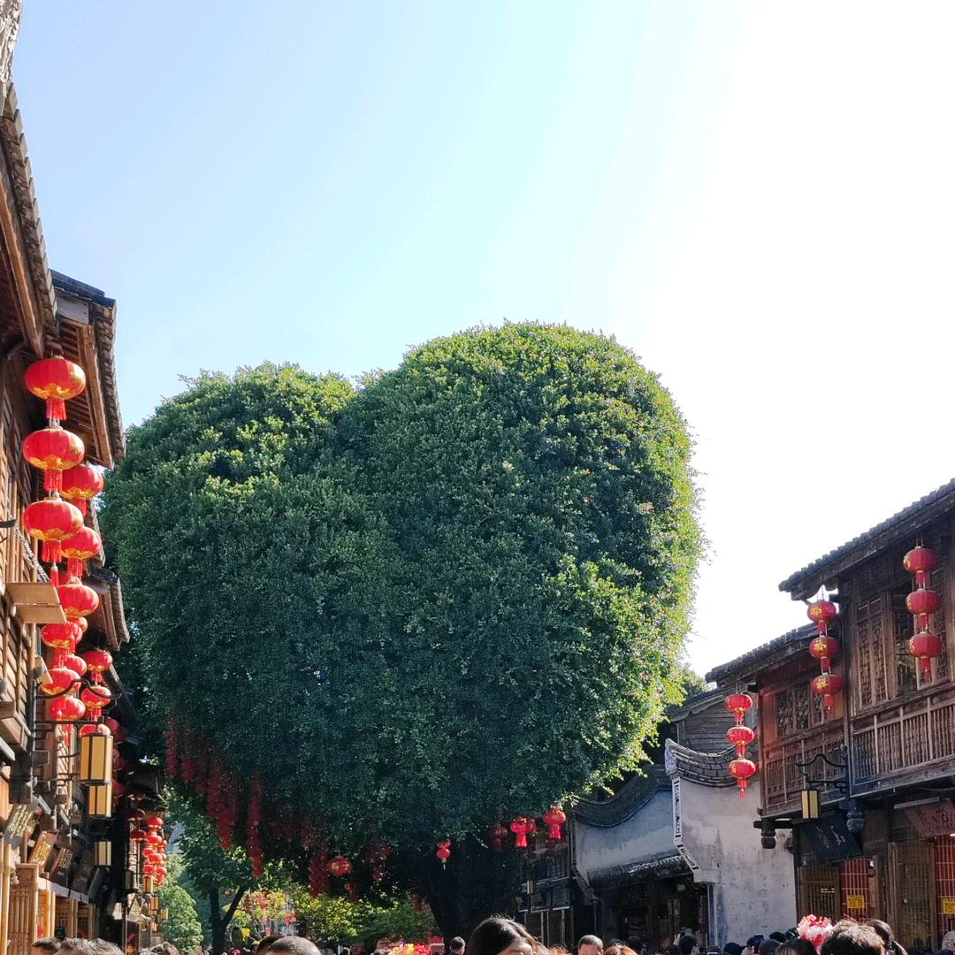 旺仔旺不旺