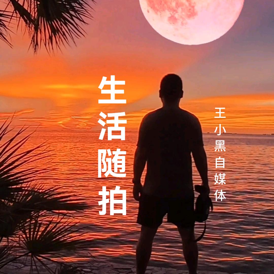王小黑《原创视频》𒅌𓆡𓆝𓆟☸