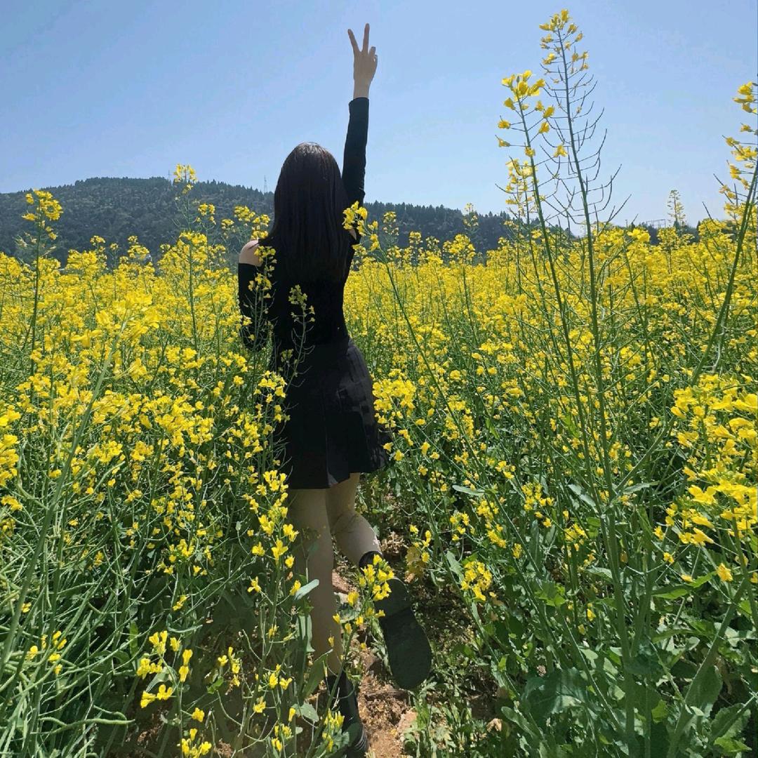 🥀好多鱼