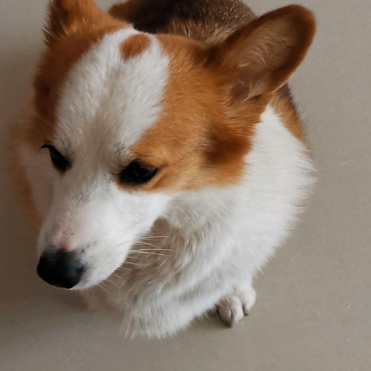 兰姐