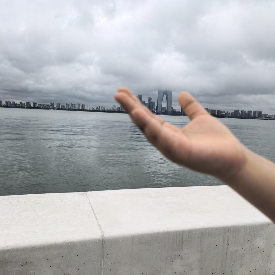 邦普龙哥
