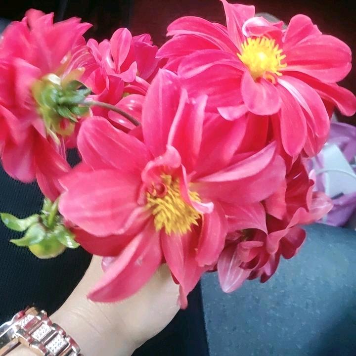 ༄᭄ུ༊情深💔缘浅ཽུ࿐้