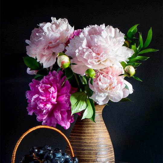 斗罗大陆h5牛牛