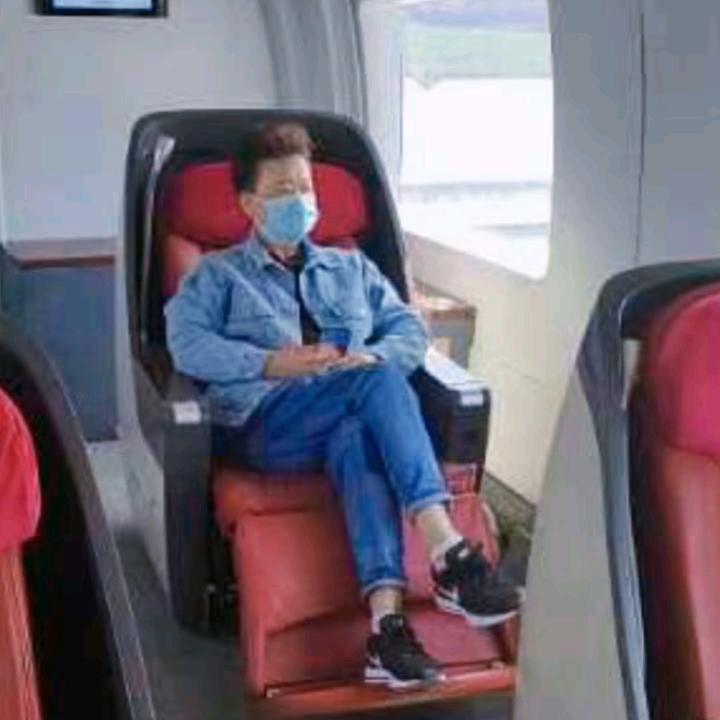 萋萋梧桐枝