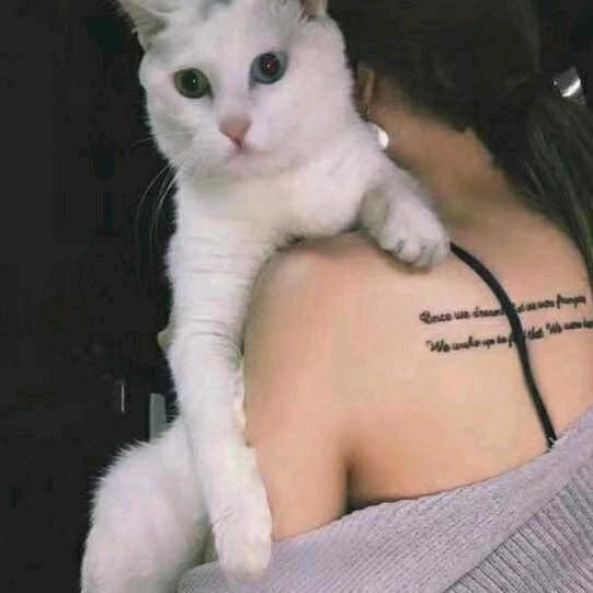 可萱