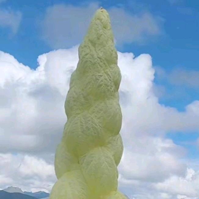 与仁为善
