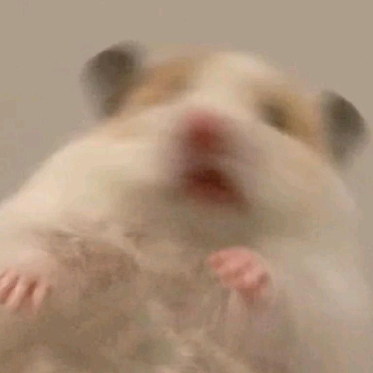 蛙蛙w